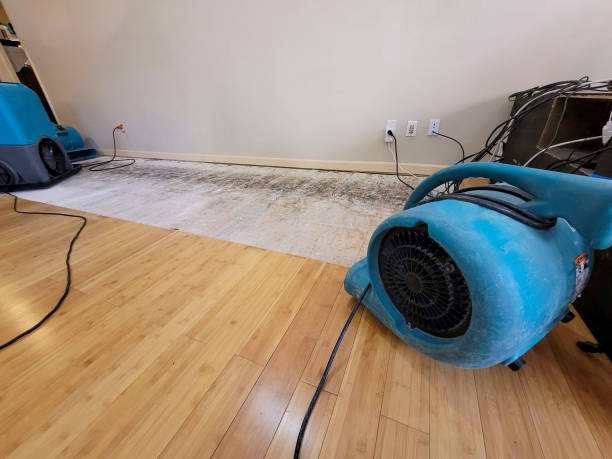 Reliable Basement Flood Cleanup contractor in Crowley, CO by Hirex Water Damage