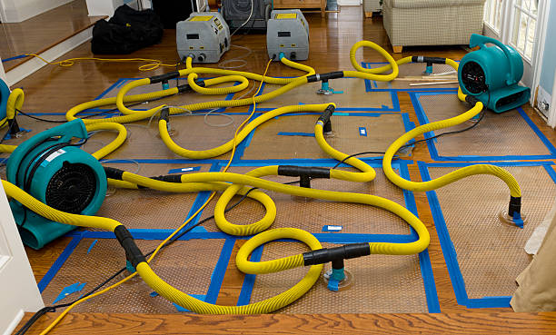 Professional Basement Flood Cleanup technician working in Crowley, CO